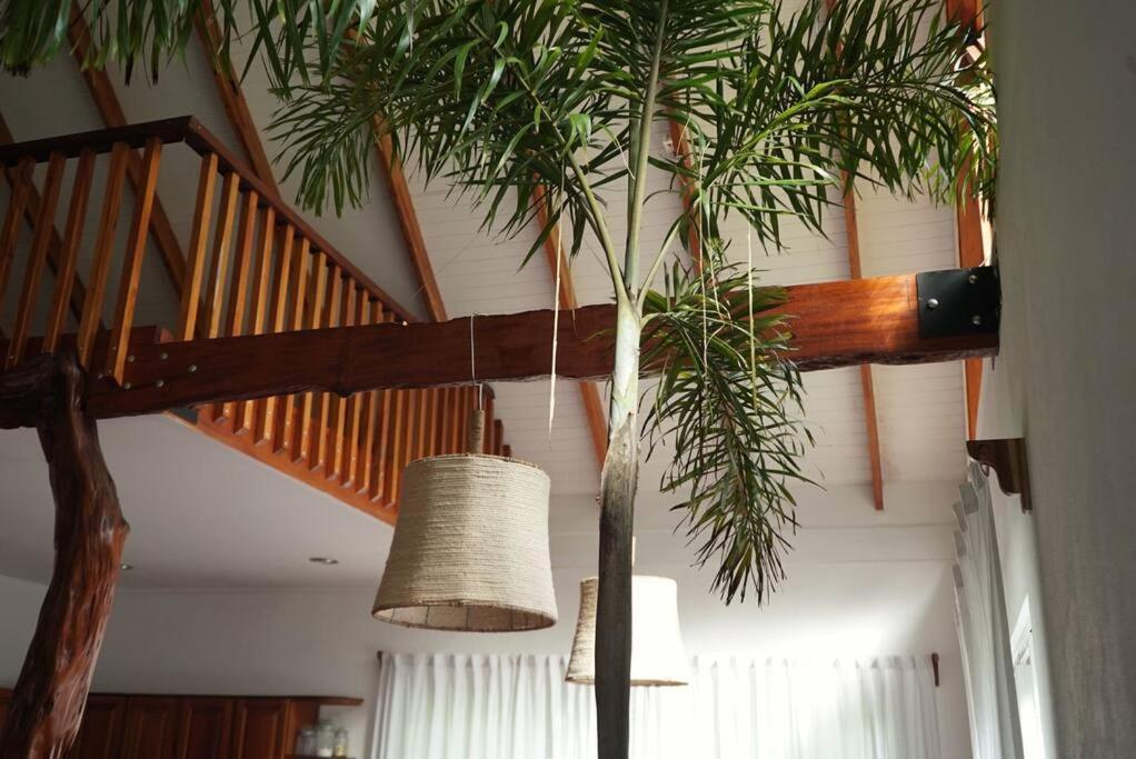 Willa Casa Moes Cahuita Zewnętrze zdjęcie